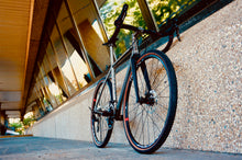 Daily Grind - Trail