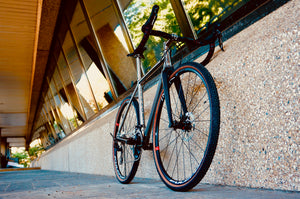 Daily Grind - Trail