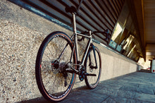 Daily Grind - Trail
